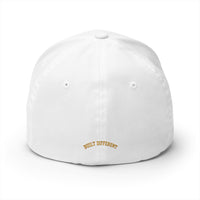 BGI Embroidered Cap